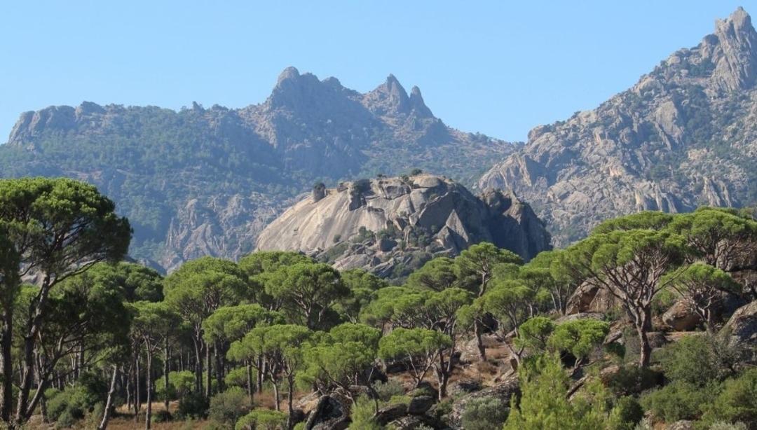 AD&Uuml; Latmos&rsquo;u d&uuml;nyaya tanıtacak