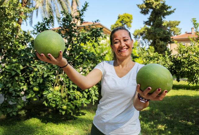 Turunçgillerin atası pomelo, sadece Antalya'da yetişiyor