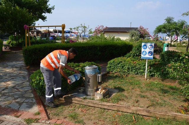 Alanya’da hayvan barınakları unutulmuyor