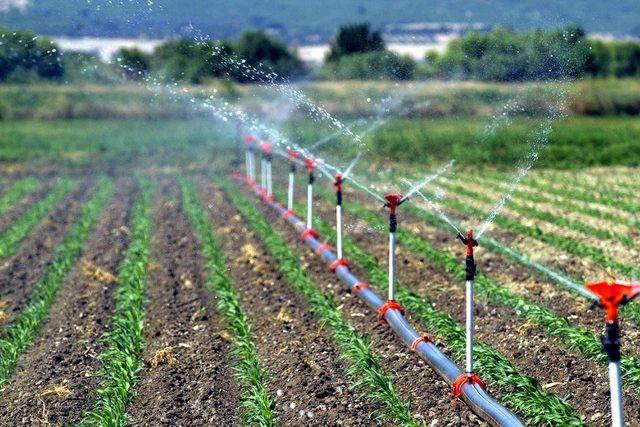 Manisa’da 390 bin 240 dekar tarım arazisi sulandı