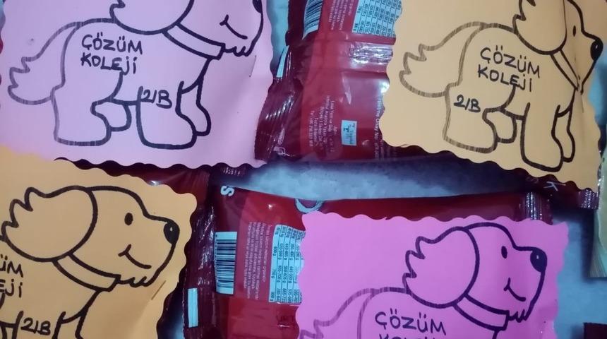 Minik öğrencilerden sokak hayvanlarına dostluk eli