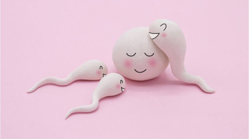 Yumurta spermi seçerken seçici davranıyor