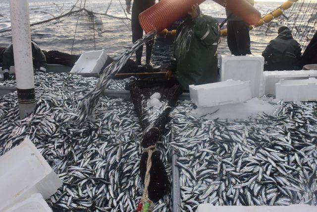 Egeli balıkçılar, ışıklı avlanmada kendilerinin örnek alınmasını istiyor