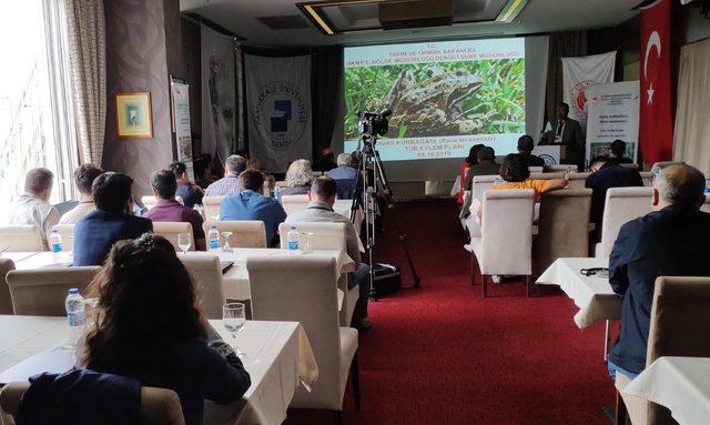 Endemik tür 'Tavas kurbağası' tel örgüyle korunacak