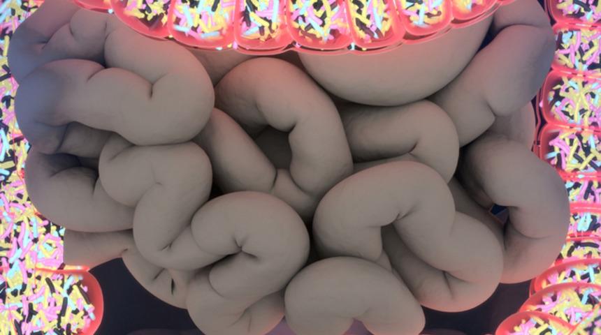 İkinci beynimiz! Bağırsakların dengesi bozulursa v&uuml;cudun dengesi bozulur