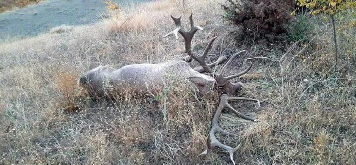 Büyük tepki çekmişti! 9 bin TL ödeme yapılmış G4