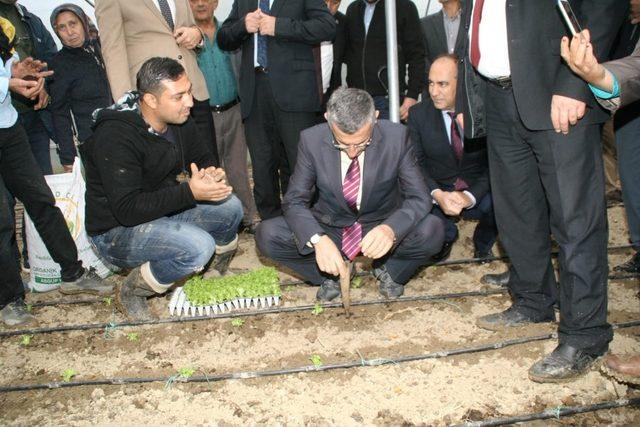 Devrek’te düzenlenen “Gelin Kardeş Olalım” projesi büyük ilgi gördü