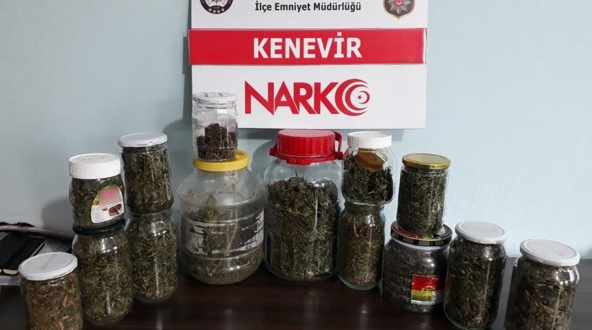 Devrek&rsquo;te 1 kilo 320 gram kenevir ele ge&ccedil;irildi