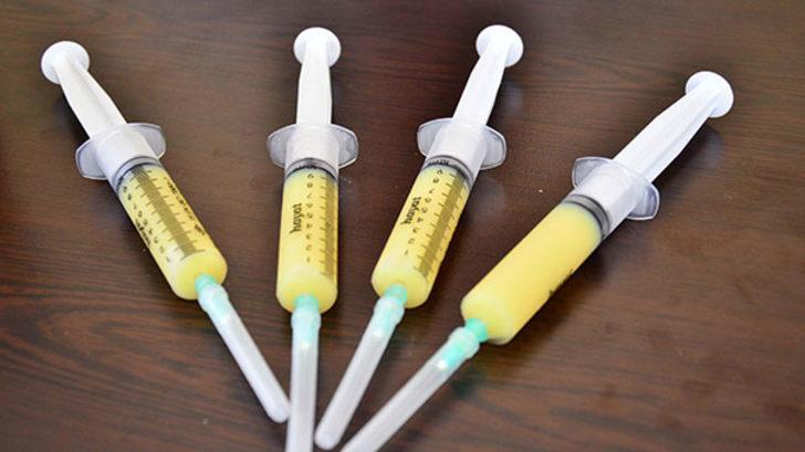 Şifa kaynağı arı sütü miligramla satılıyor G1