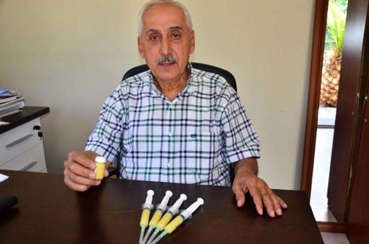 Şifa kaynağı arı sütü miligramla satılıyor G3