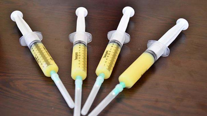 Şifa kaynağı arı sütü miligramla satılıyor G5