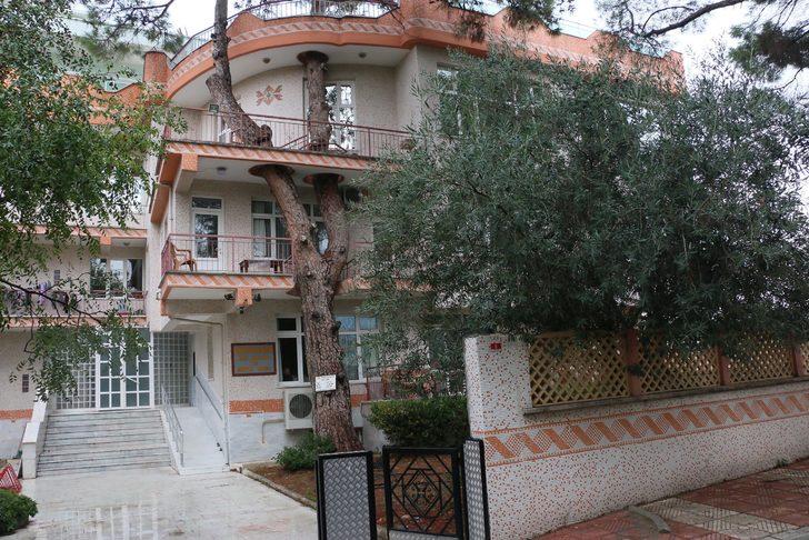 3 asırlık ağaç evin balkonundan geçiyor G3