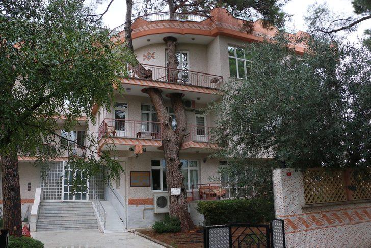 3 asırlık ağaç evin balkonundan geçiyor G1