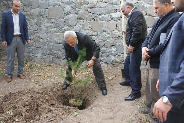 Camiler Haftası’nda fidan dikme etkinliği düzenlendi