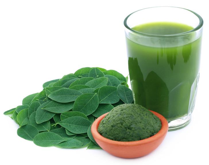 Moringa çayı nedir? Antep'te yetişen moringa her derde deva G3