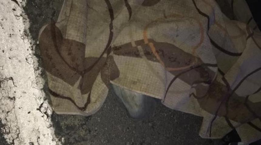 Yolun karşısına ge&ccedil;erken canından oldu