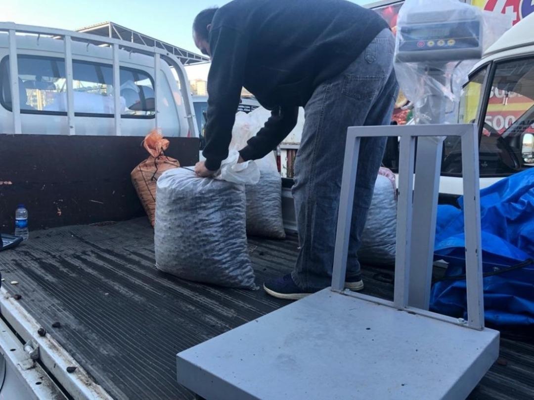 &rsquo;Alaplı Kuzusu&rsquo; satın almak i&ccedil;in akın ediyorlar