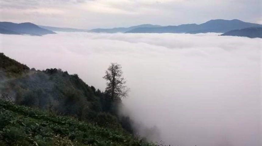 Sis bulutlarının kartpostallık g&ouml;r&uuml;nt&uuml;leri