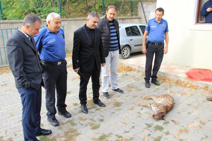 Nesli tükenme tehlikesi altında! Bu halde bulundu G4