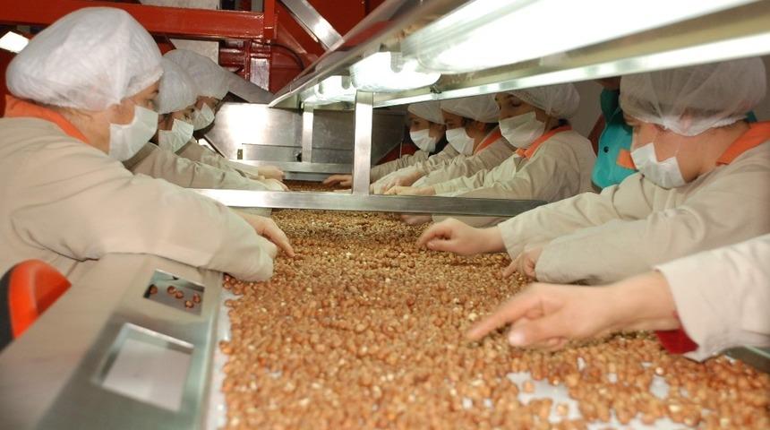 Ordu’dan 8 ayda 150 milyon dolarlık ihracat