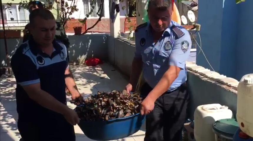 Sağlıksız koşullarda üretilen 100 kilo midyeye el konuldu
