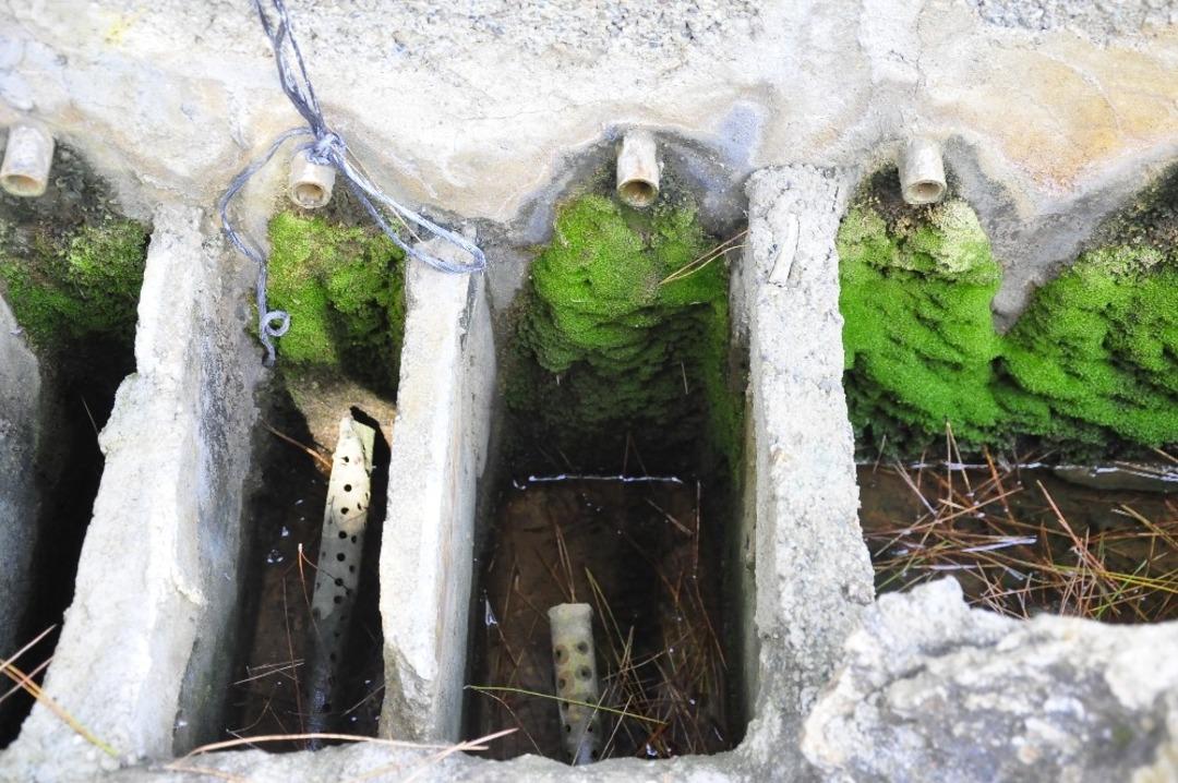 T&uuml;rkiye&rsquo;nin muz ihtiyacının 5&rsquo;te birini karşılayan mahalle susuzluk sebebiyle &uuml;retimi bırakıyor