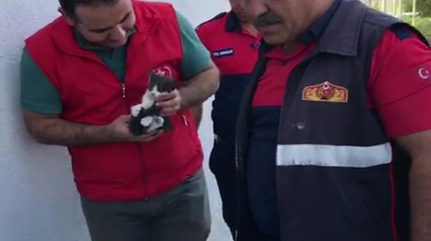 Yavru kedi sıkıştığı yerden 2 g&uuml;n sonra kurtarıldı