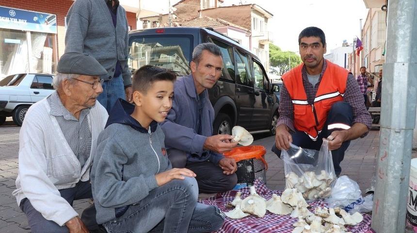 Aydın&rsquo;da doğal mantar tezgahtaki yerini aldı