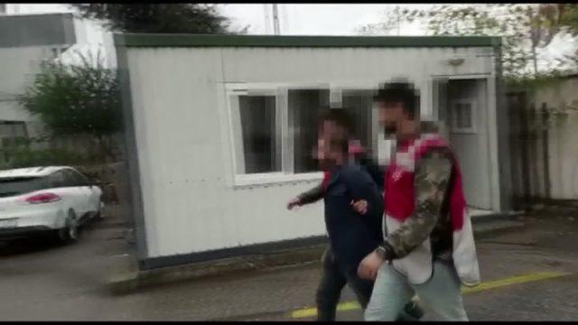 Yolda uyuyan köpeği ezen sürücü savcılık talimatıyla serbest bırakıldı