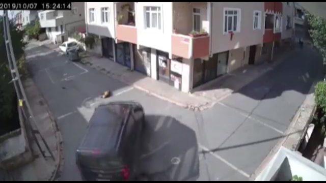 Yolda uyuyan köpeği ezen sürücü savcılık talimatıyla serbest bırakıldı