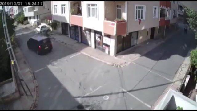 Yolda uyuyan köpeği ezen sürücü savcılık talimatıyla serbest bırakıldı