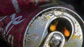 Bu fotoğraflar çevre kirliliğinin hayvanlara olan etkisini gözler önüne serdi!