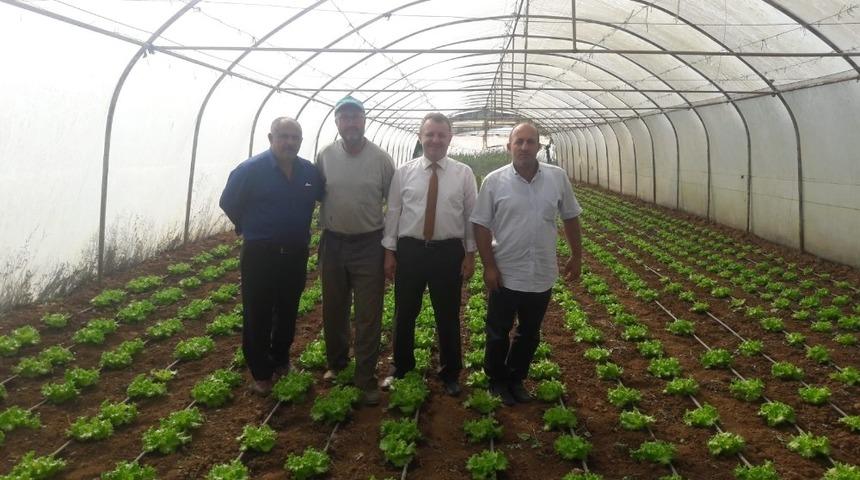 B&uuml;y&uuml;kşehir&rsquo;den Gebzeli &ccedil;ift&ccedil;ilere 800 bin TL&rsquo;lik destek