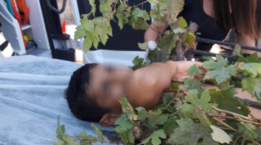 Meyve toplarken ağa&ccedil;tan d&uuml;şen &ccedil;ocuğun koluna demir korkuluk saplandı