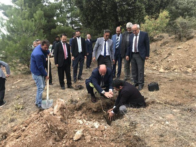 19 ilçe müftüsü yüzlerce fidanı toprakla buluşturdu