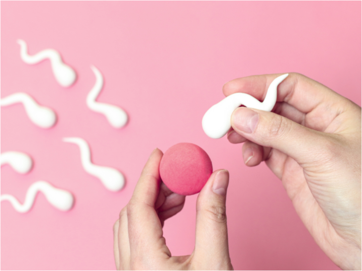 Kadınlarda yumurta rezervlerinin durumu gebelik için önemli!