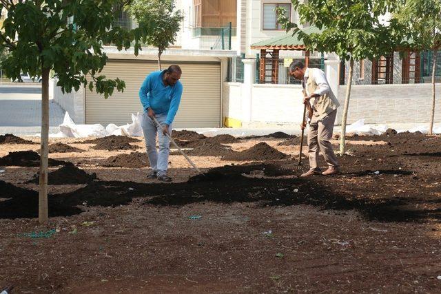 Haliliye’de parklara çim ekimi yapılıyor