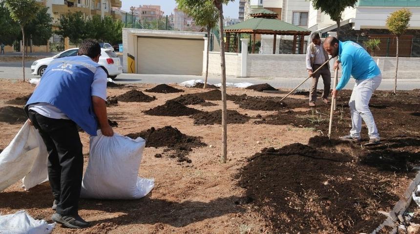 Haliliye’de parklara çim ekimi yapılıyor