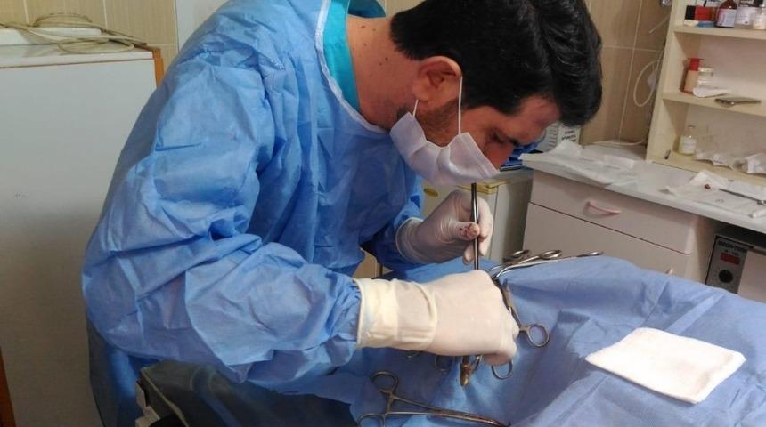 Görme kaybı yaşayan köpek tedavi edildi