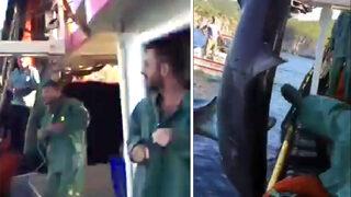 Hayrete düşüren olay! Köpek balığını tekmeleyip yumrukladı