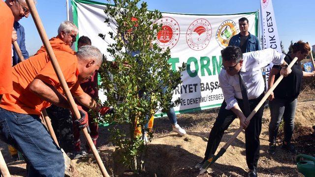 Adalet Ormanı’na anneler için 571 fidan