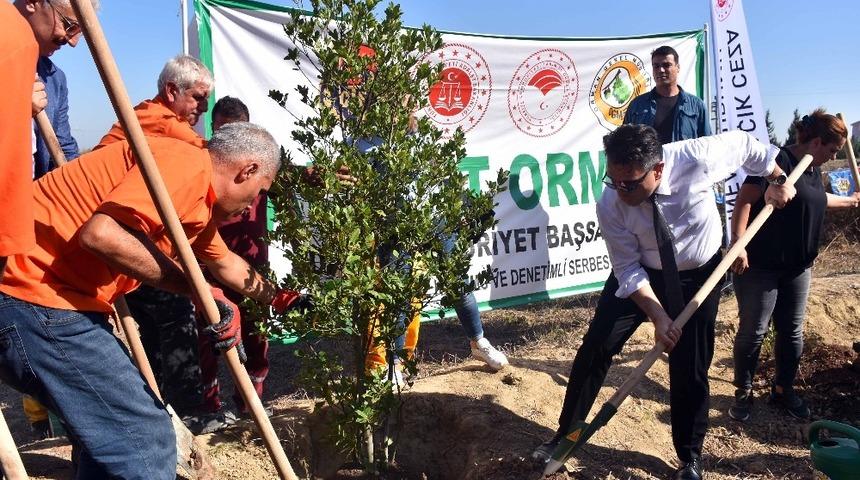 Adalet Ormanı&rsquo;na anneler i&ccedil;in 571 fidan