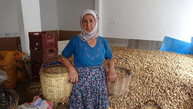 Tüccar fiyat kırdı, kuru incir depoda kaldı