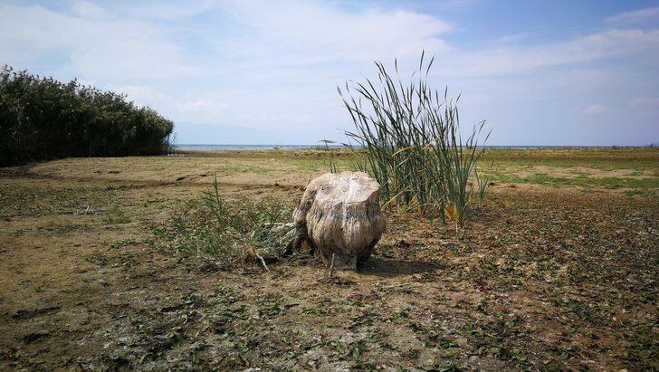 İznik Gölü metrelerce çekildi G3