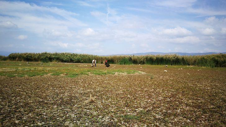 İznik Gölü metrelerce çekildi G4