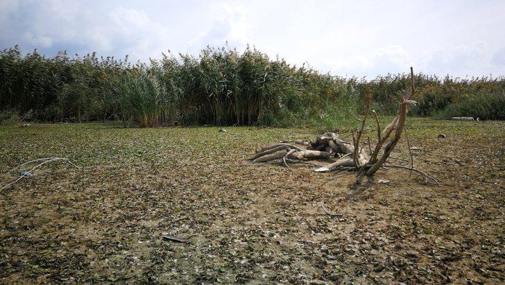 İznik Gölü metrelerce çekildi G5