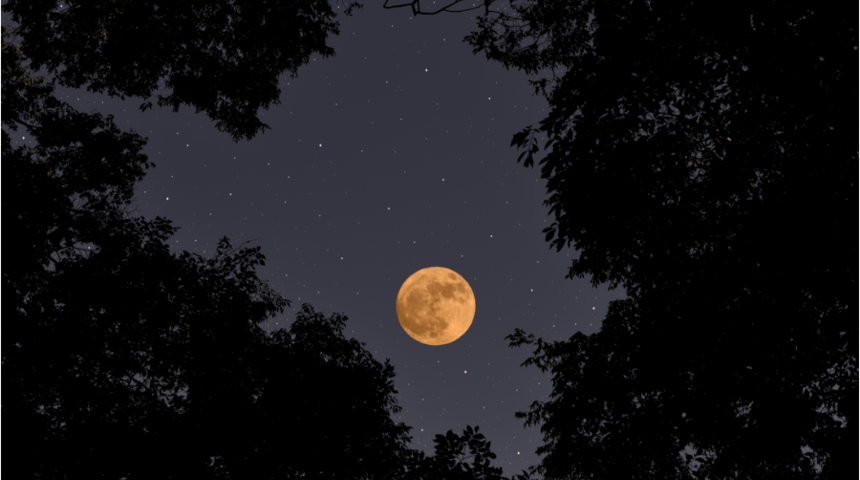 14 Ekim Ko&ccedil; burcunda dolunay!