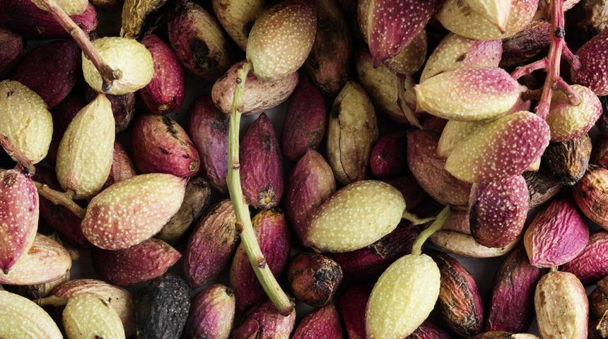 Antep fıstığının faydaları mucize gibi! İşte Antep fıstığı kilosu ve yararları