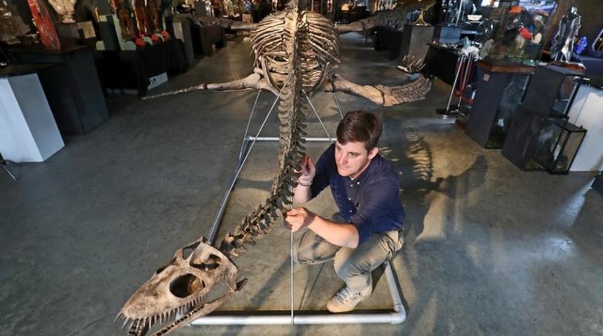 Kehribardan çıkan 'ejderha kafası' 4 milyon sterline satılacak