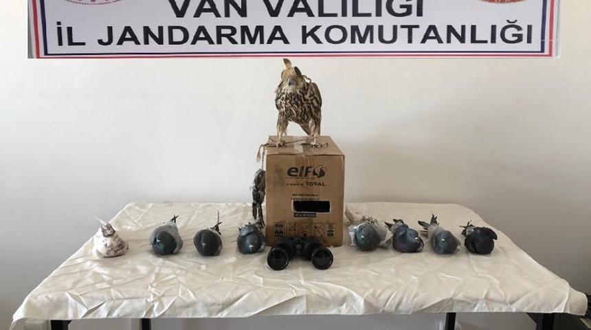 Yırtıcı kuş avı yapan şahsa 20 bin 387 liralık büyük ceza